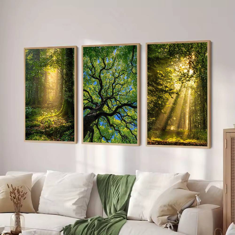 Sunbeam Forest Nature Poster,  - đánh giá và giá Wall Decor Lighting Tree