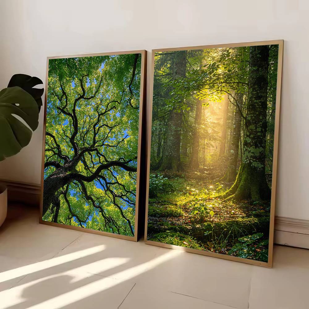 Sunbeam Forest Nature Poster,  - đánh giá và giá Wall Decor Lighting Tree