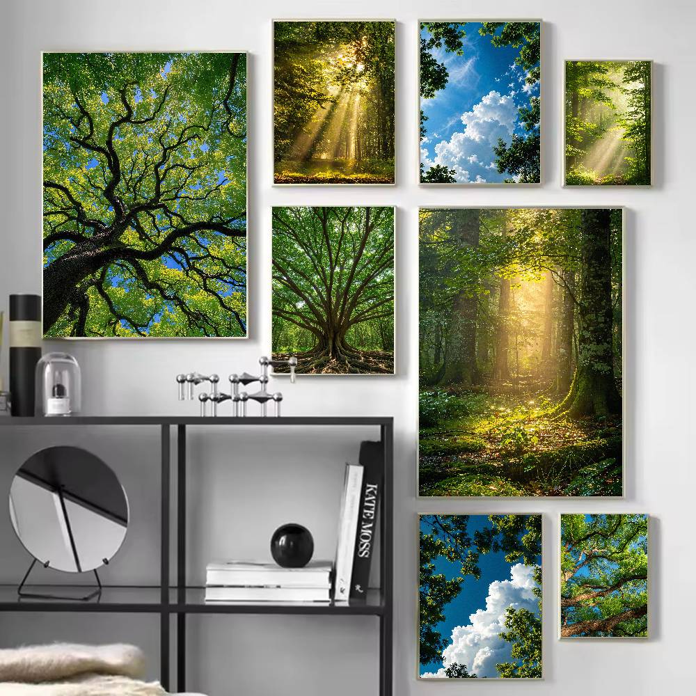 Sunbeam Forest Nature Poster,  - đánh giá và giá Wall Decor Lighting Tree