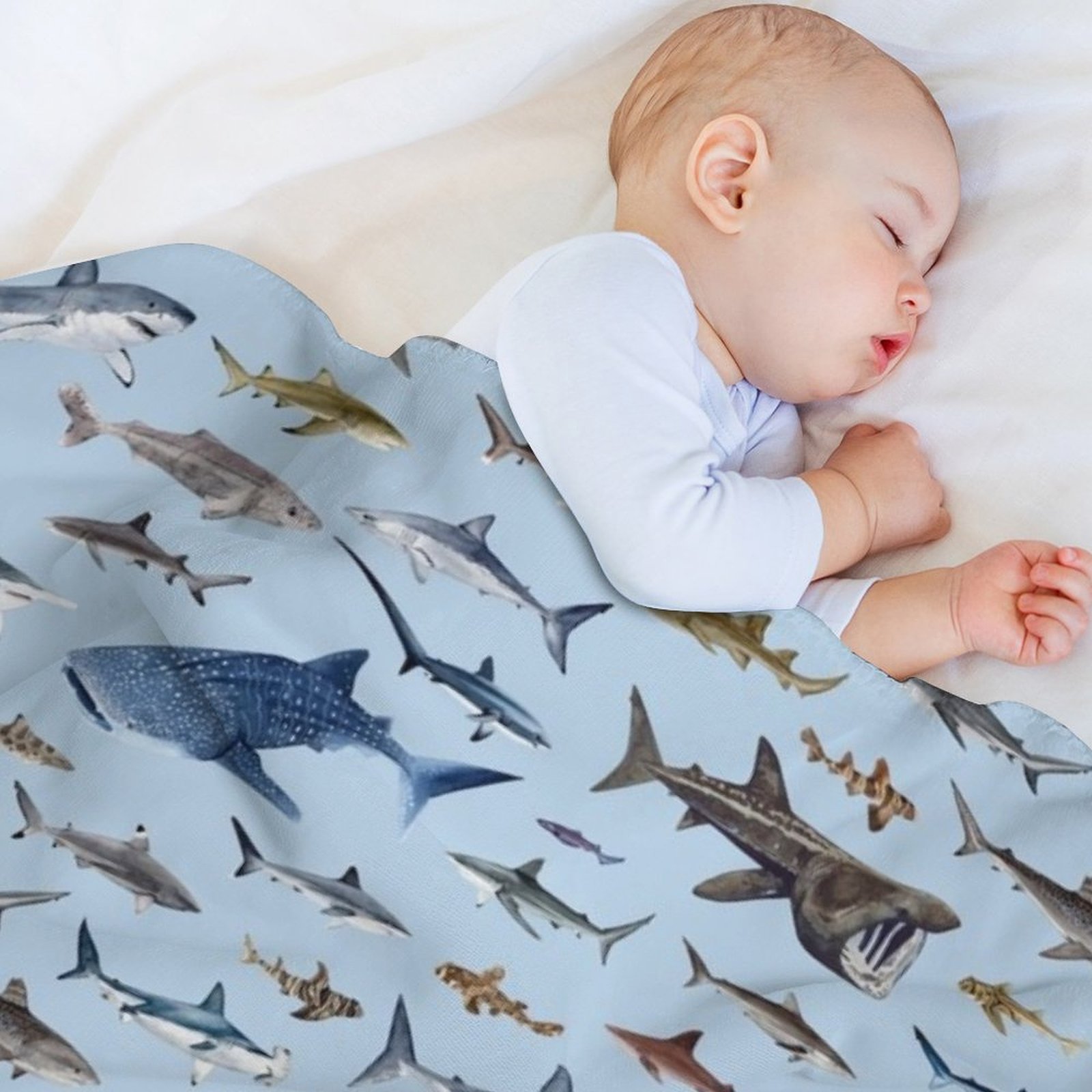 SHARKS poster-light blue Throw - đánh giá và giá Lighting Decoration Ideas For Home